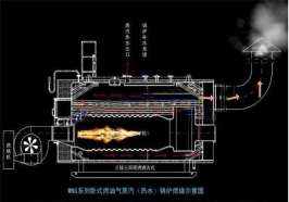 臥式燃油燃?xì)庹羝仩t1噸