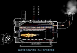 南寧臥式燃油燃?xì)庹羝仩t1噸